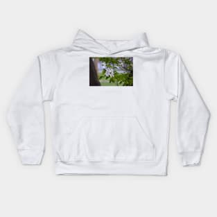 White Crab Apple Blossoms Kids Hoodie